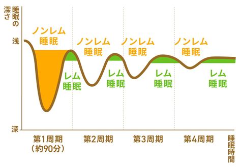 睡眠中|レム睡眠とノンレム睡眠～睡眠周期と眠りの深さ～｜ 